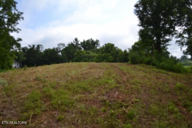 2390 Pea Ridge Fire Tower Road Celina, TN 38551 - Photo 23 of 35 DSC_0023