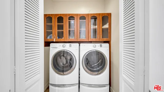 a view of a garden with plants