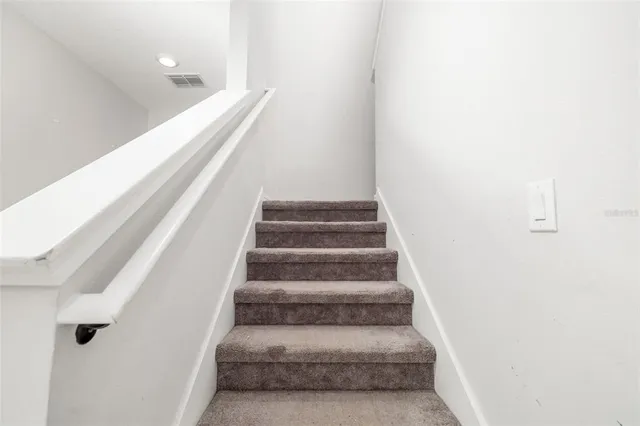 a view of a park with palm trees