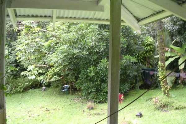 Aloha Road Pahoa, HI 96778 - Photo 3 of 6 Gallery Image 3