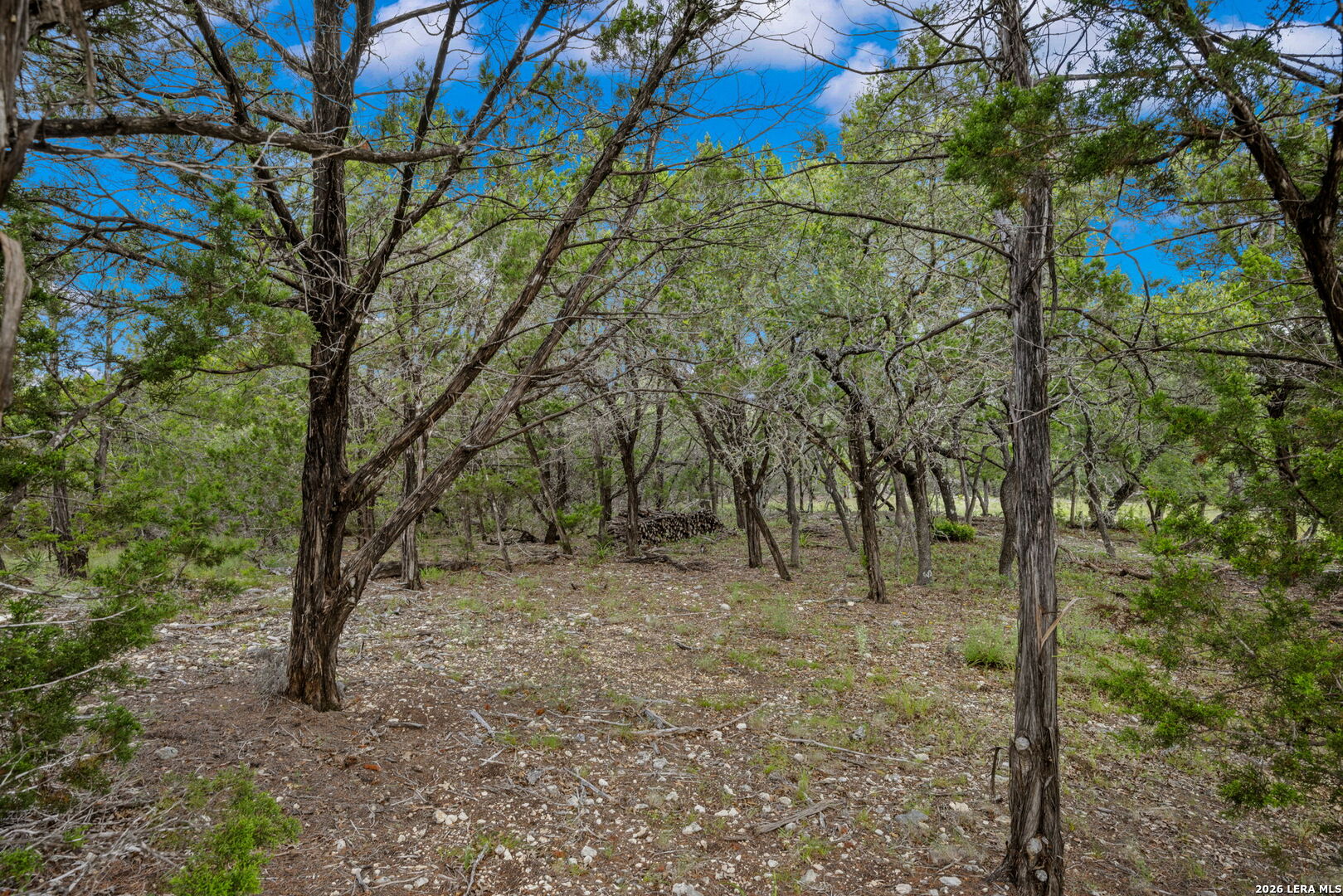 335 Shepherds Ranch Bulverde, TX 78163 - Photo 7 of 11