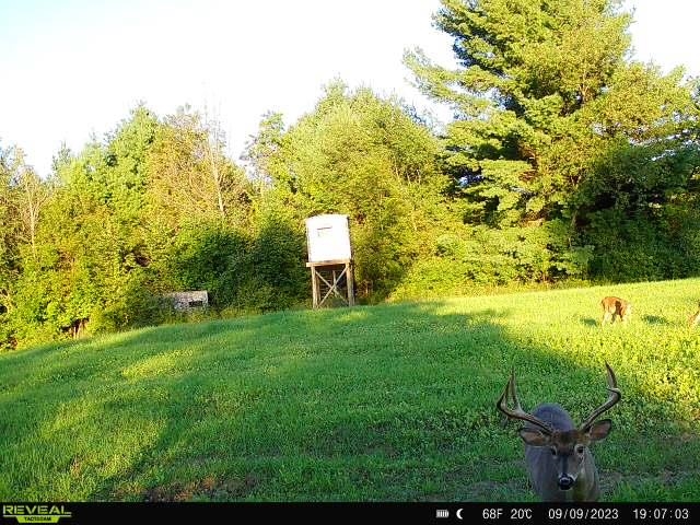0 North Miller Road East Tawas, MI 48730 - Photo 15 of 23