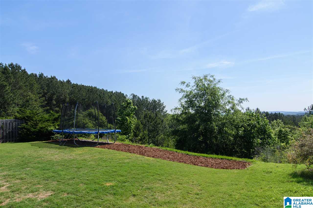 3160 Chelsea Park Ridge Chelsea, AL 35043 - Photo 49 of 49