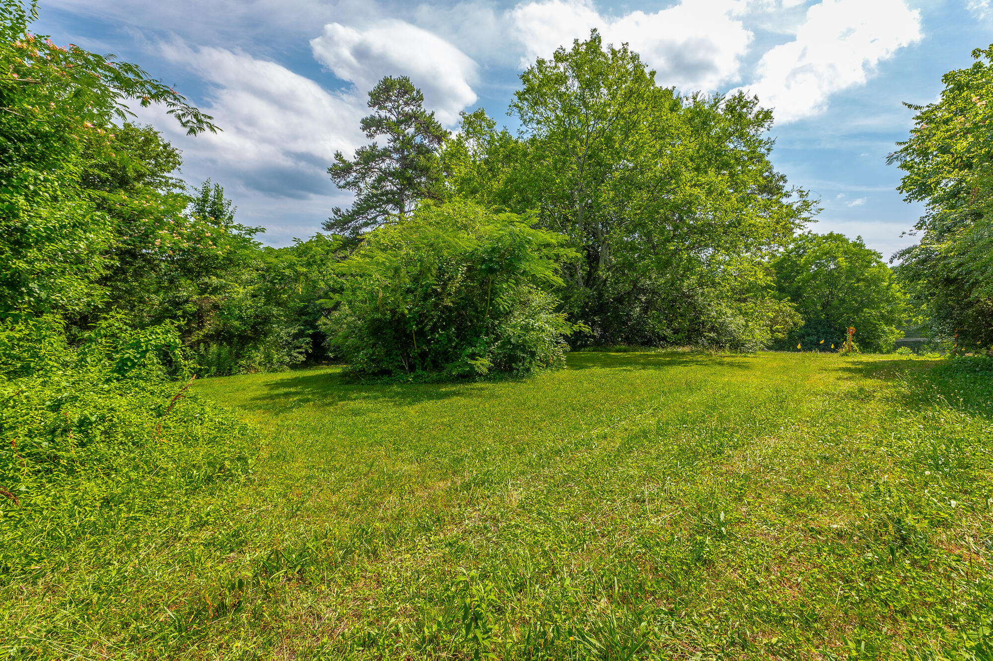 103 Cleveland Road Rossville, GA 30741 - Photo 30 of 33 103 Cleveland Road HD-43