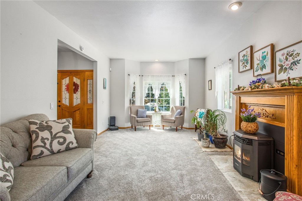 6180 Cedar Avenue Angelus Oaks, CA 92305 - Photo 5 of 31 a living room with furniture and a fireplace