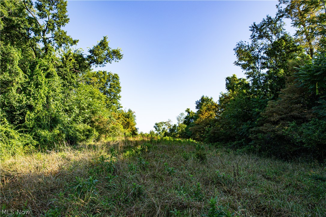 52982 Wegee Road Shadyside, OH 43947 - Photo 35 of 48