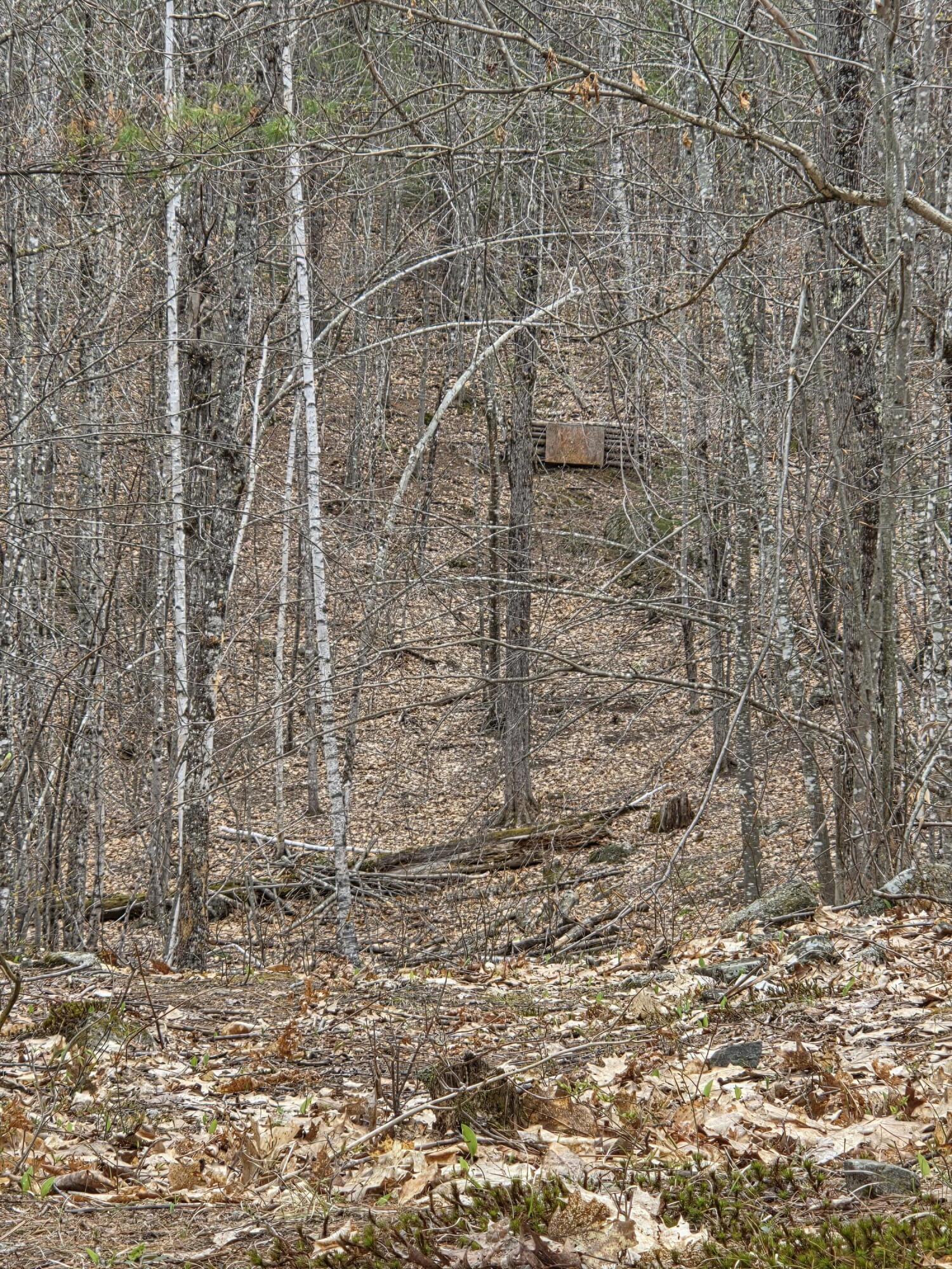 75 Bond Spring Road Newfield, ME 04095 - Photo 5 of 17 20260429_122746