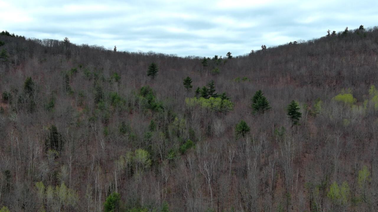 75 Bond Spring Road Newfield, ME 04095 - Photo 7 of 17 MAX_0016