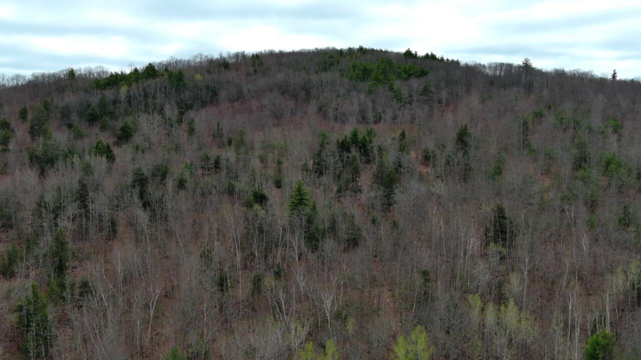 75 Bond Spring Road Newfield, ME 04095 - Photo 8 of 17 MAX_0017