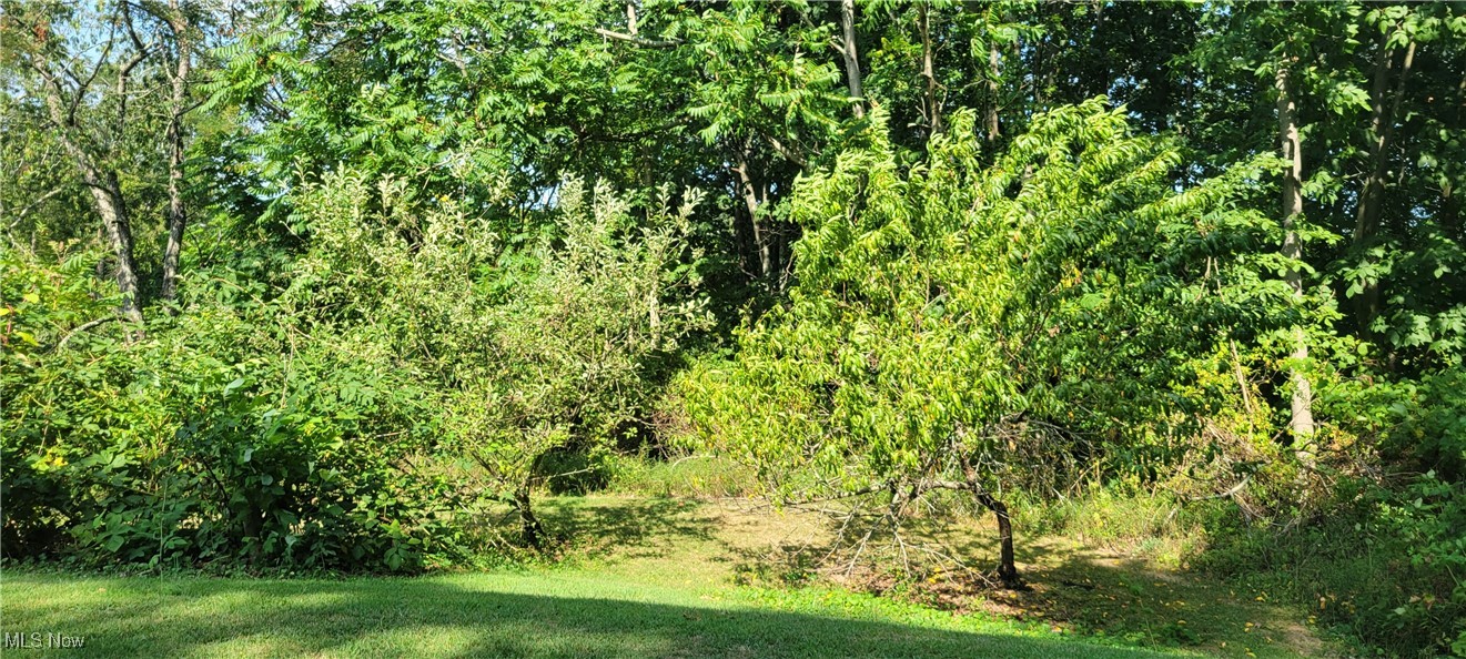 4458 West Poplar Ridge Road Malta, OH 43758 - Photo 11 of 34 Fruit trees