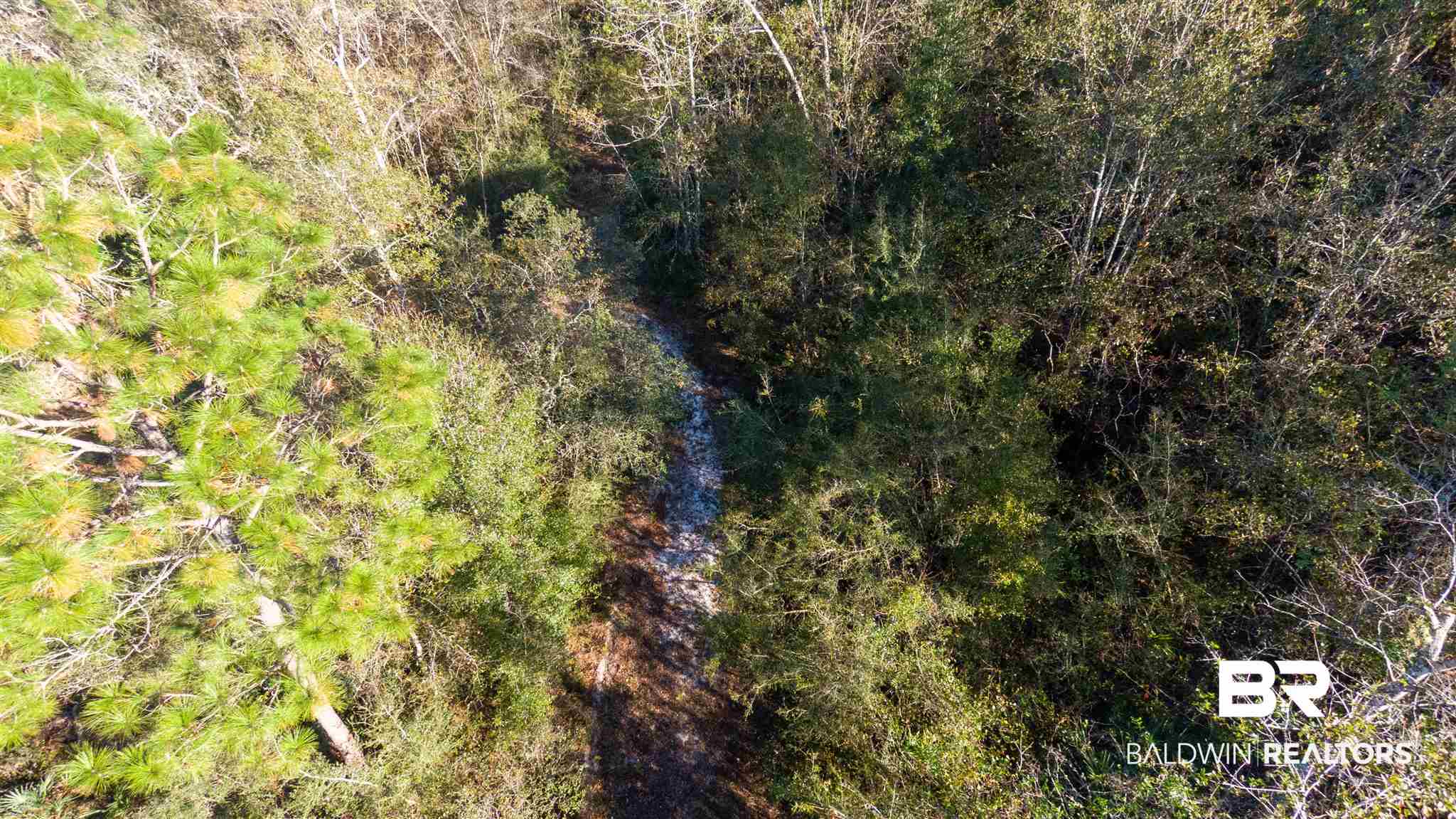 0 McPhillips Road Loxley, AL 36551 - Photo 19 of 27
