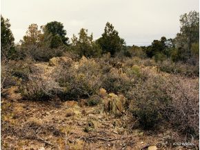 4750 W Road Prescott, AZ 86305 - Photo 10 of 12 Additional Photo