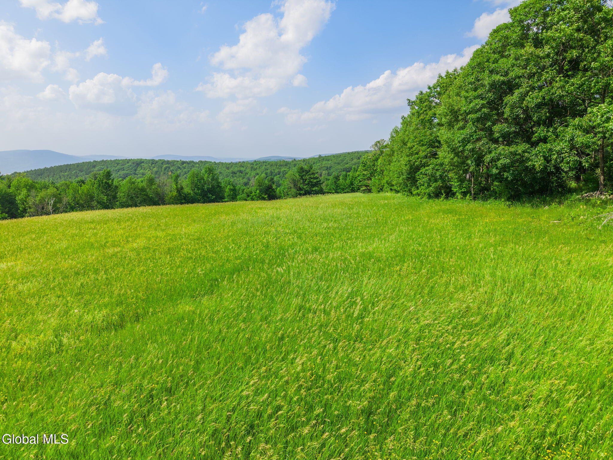 0 Debar Hill Road Middleburgh, NY 12122 - Photo 5 of 18 8-DebarHillRd_08