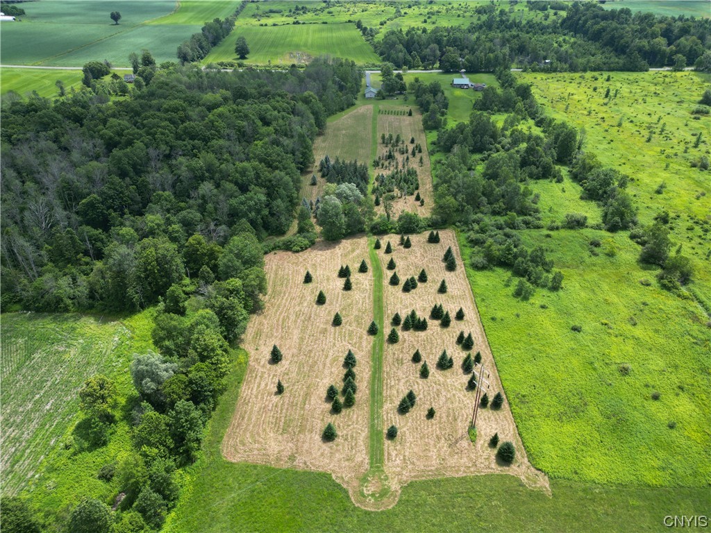 7533 Fox Road Trenton, NY 13354 - Photo 3 of 48