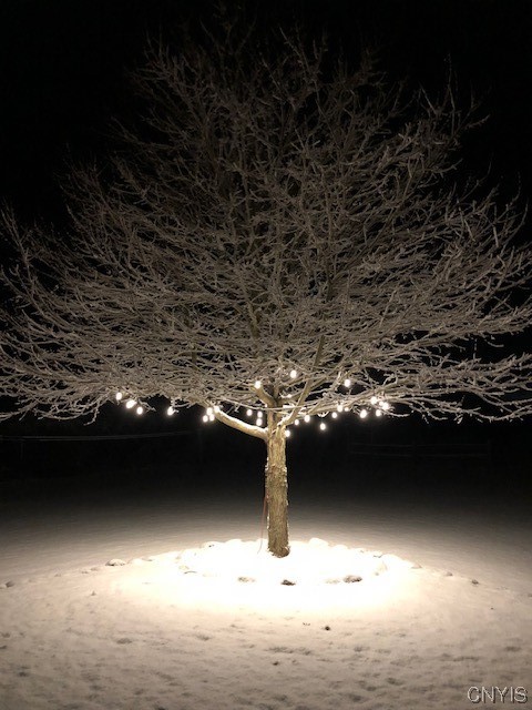 7533 Fox Road Trenton, NY 13354 - Photo 44 of 48