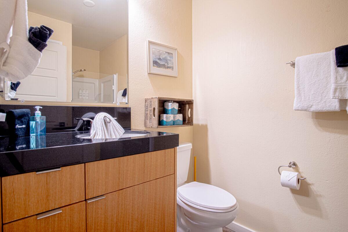 340 River Street West, Unit 139 Ketchum, ID 83340 - Photo 9 of 14 139 Primary Bath