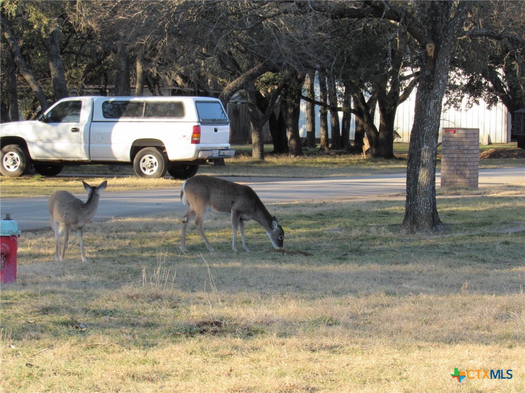 65 Bluebonnet Loop Belton, TX 76513 - Photo 26 of 26