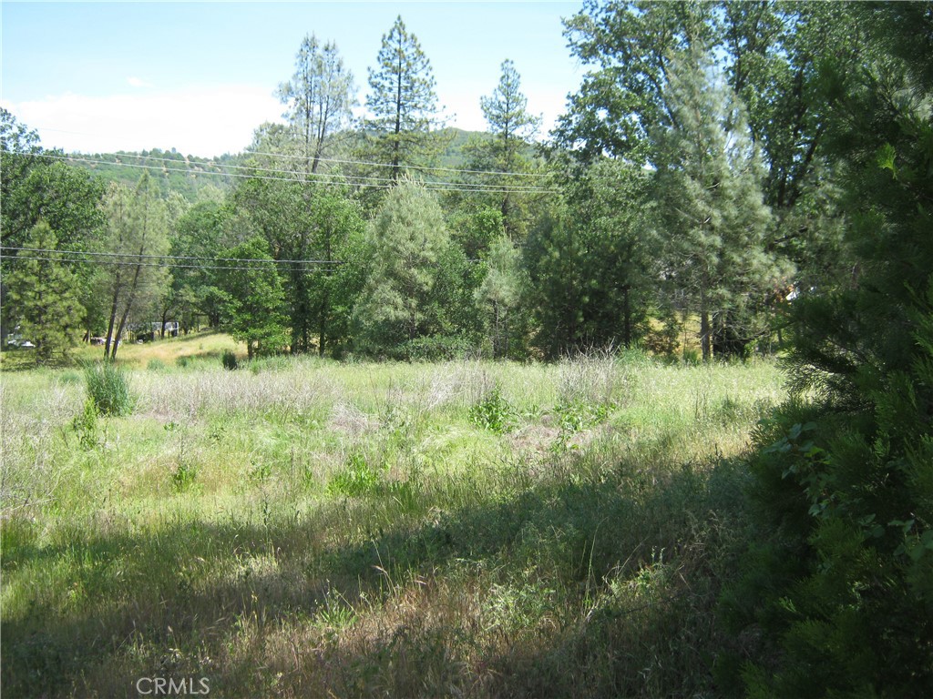 23670 W Road Middletown, CA 95461 - Photo 2 of 4 a view of a green field with lots of bushes