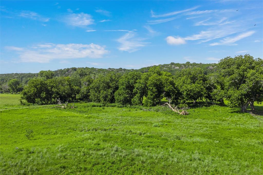101 Private Road Aquilla, TX 76622 - Photo 10 of 19 View of woods