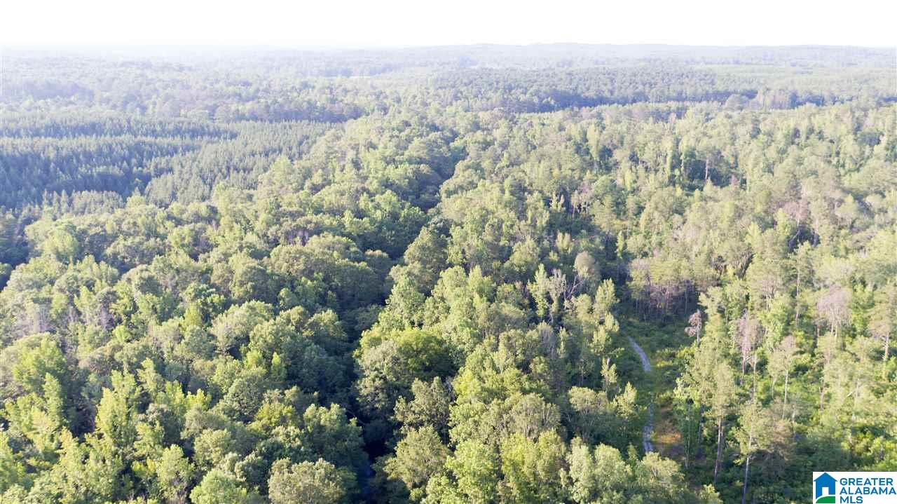 180 Gibson Road, Unit 76 / ACRES OFF GIBSON R Columbiana, AL 35051 - Photo 7 of 50