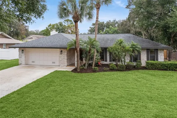 a view of a house with backyard and a tree