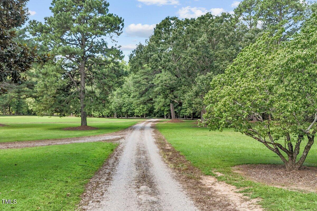 206 Shaver Road Macon, NC 27551 - Photo 67 of 68 a view of a yard with a large trees