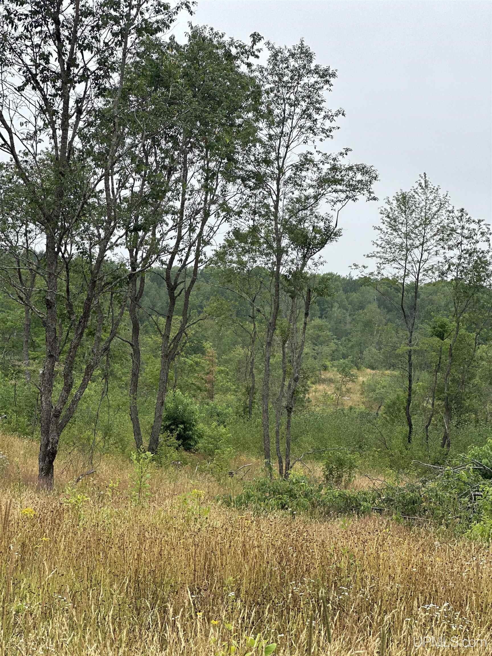 Tbd Co Rd 496 (b) Road, Unit PARCEL B Champion, MI 49814 - Photo 20 of 33