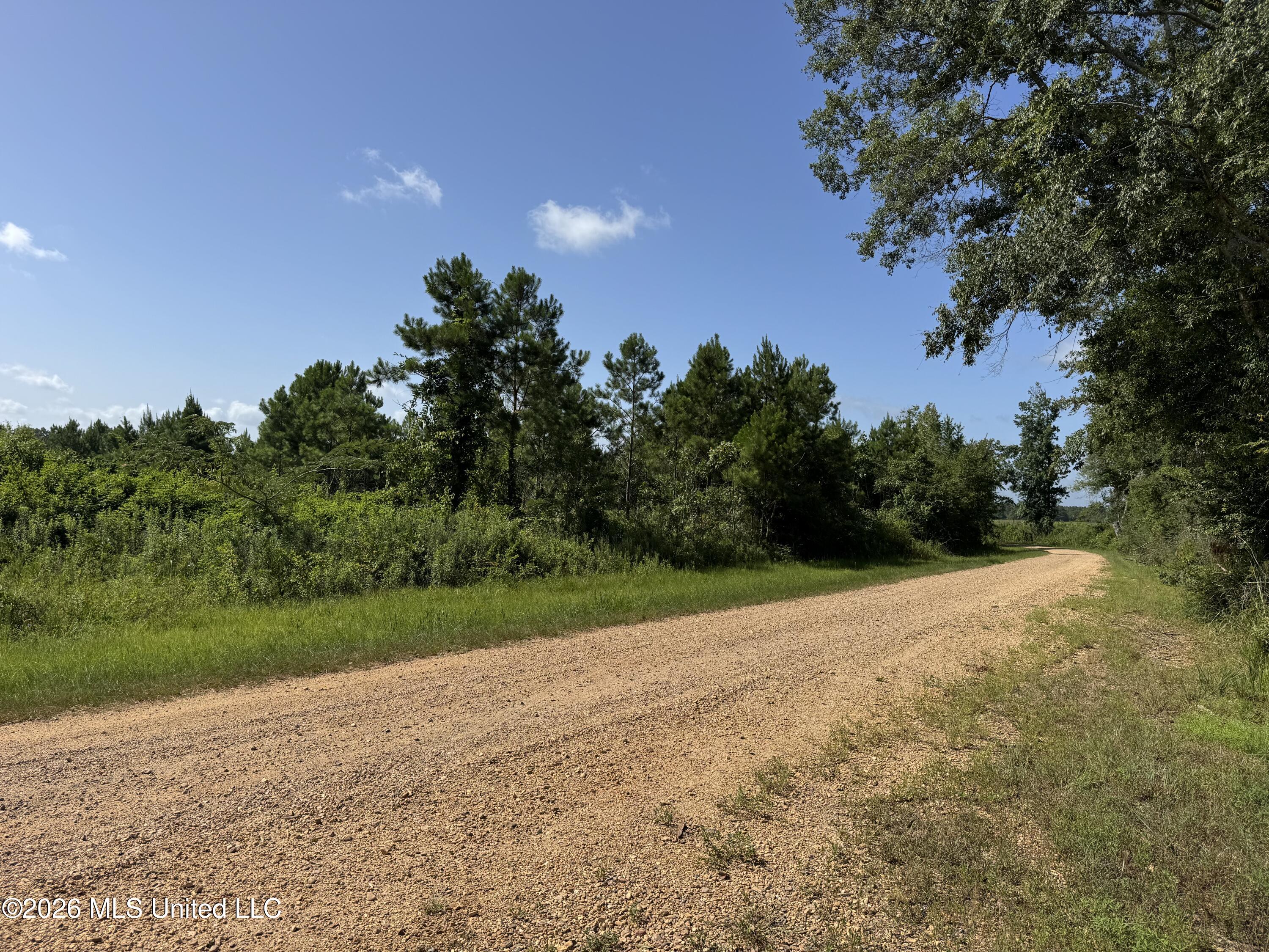 32 Sauls Road Ruth, MS 39662 - Photo 1 of 22 Land-for-sale-Ruth-MS (1)