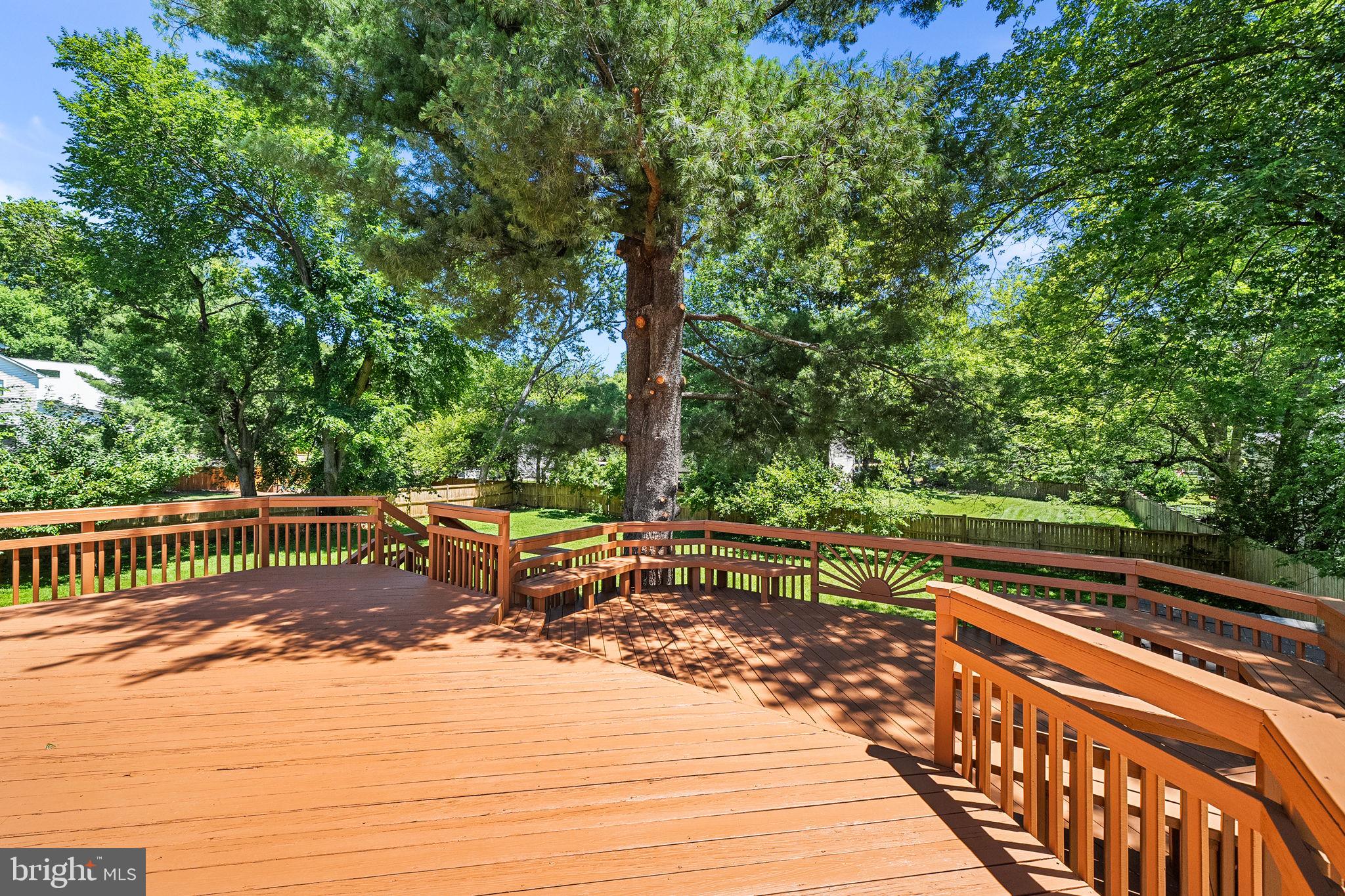 2851 Edgelea Road Vienna, VA 22181 - Photo 58 of 69