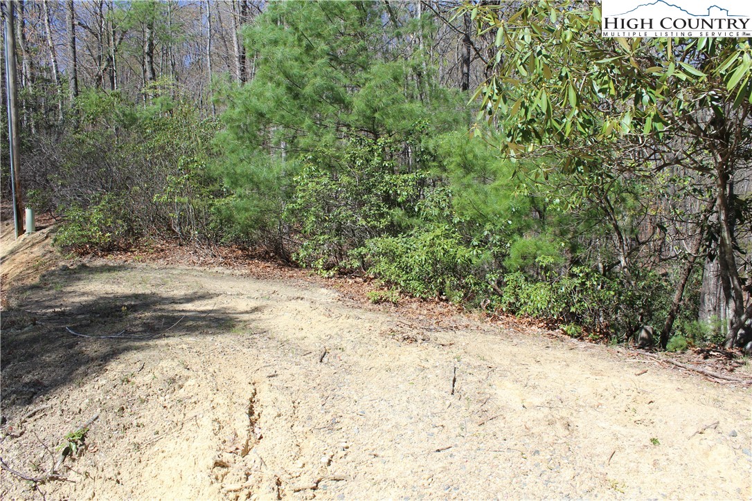 Trout Lake Road Deep Gap, NC 28618 - Photo 15 of 25 a view of a yard with a tree