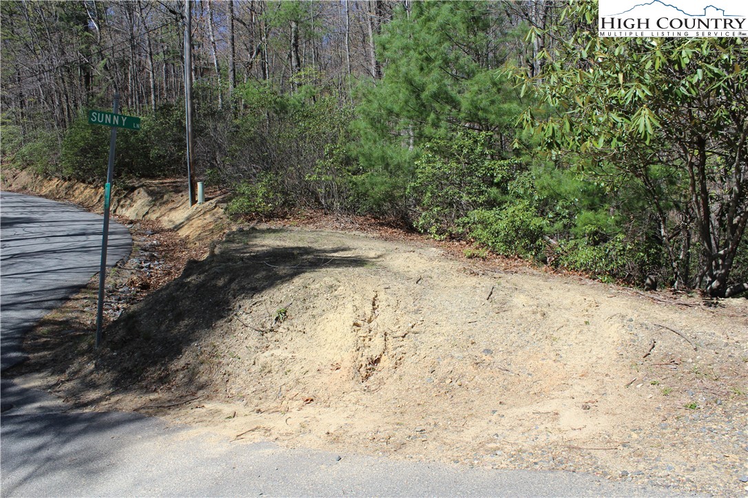 Trout Lake Road Deep Gap, NC 28618 - Photo 16 of 25 a view of a yard with plants and trees