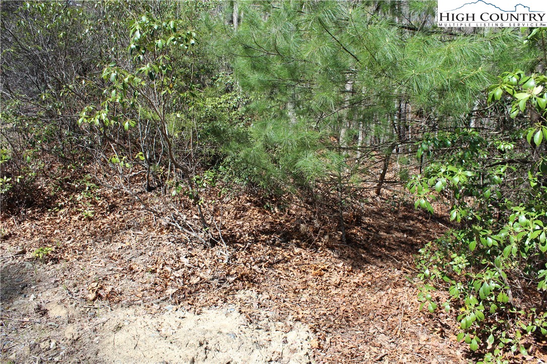 Trout Lake Road Deep Gap, NC 28618 - Photo 18 of 25 a view of a large yard with lots of green space