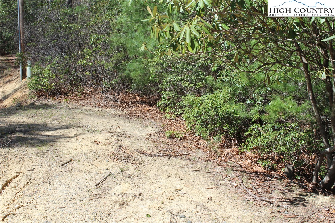 Trout Lake Road Deep Gap, NC 28618 - Photo 2 of 25 a view of a yard with a tree