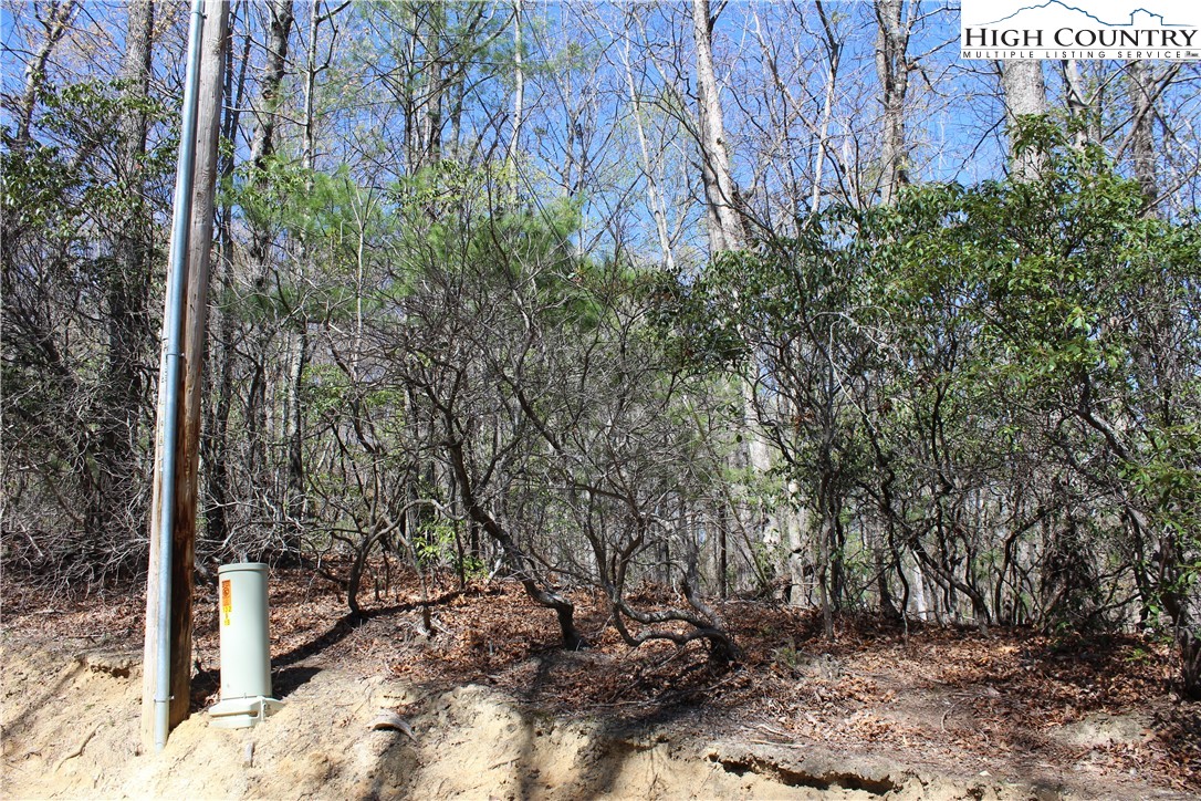 Trout Lake Road Deep Gap, NC 28618 - Photo 21 of 25 a backyard of a house with lots of green space