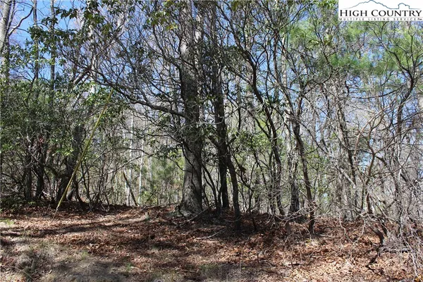 $34,900 | Trout Lake Road, Deep Gap, NC 28618