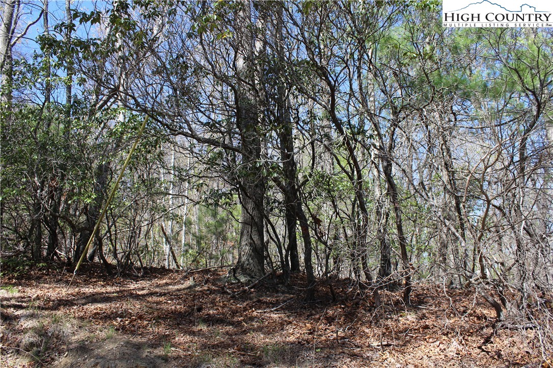 Trout Lake Road Deep Gap, NC 28618 - Photo 22 of 25 a view of a yard with a tree