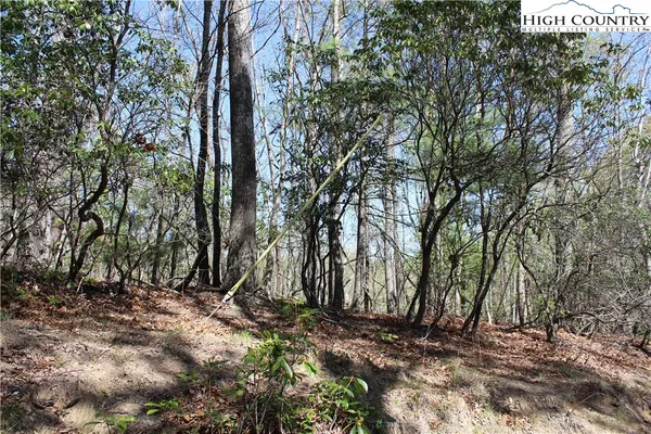 $34,900 | Trout Lake Road, Deep Gap, NC 28618