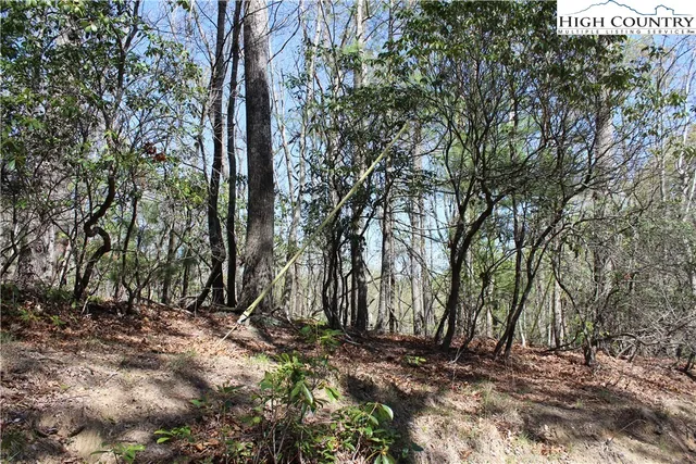 $38,900 | Trout Lake Road, Deep Gap, NC 28618