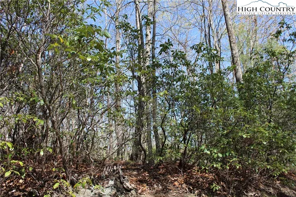 $34,900 | Trout Lake Road, Deep Gap, NC 28618