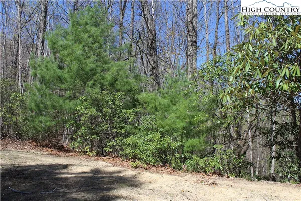 $34,900 | Trout Lake Road, Deep Gap, NC 28618