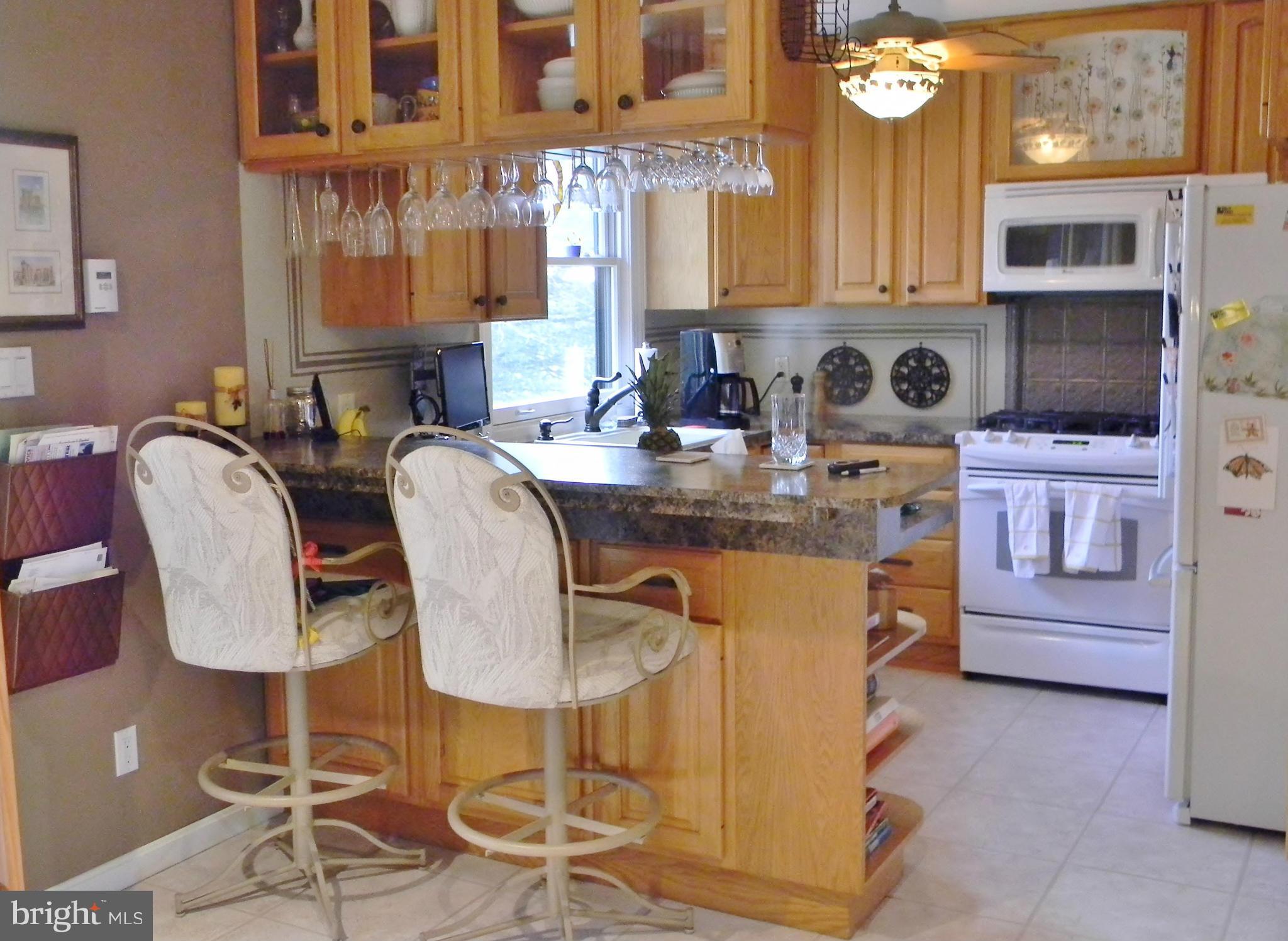 6150 Telegraph Road Elkton, MD 21921 - Photo 4 of 22 Kitchen
