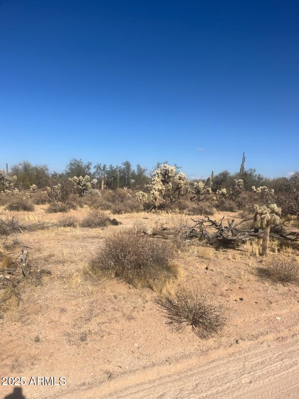 0 North Hohokam Road, Unit Z Florence, AZ 85132 - Photo 4 of 6 a view of ocean view with beach