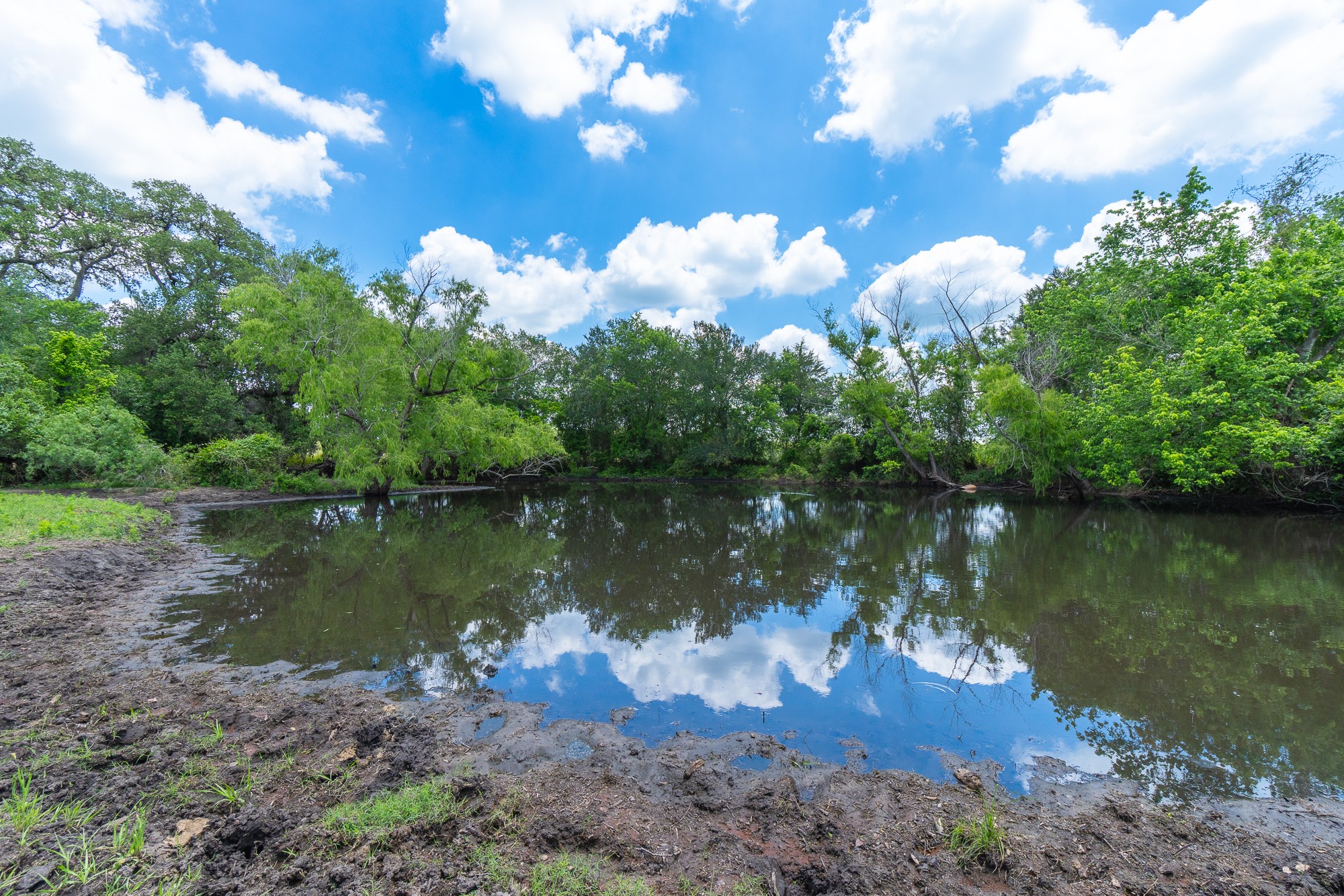 5018 Wolters Road Schulenburg, TX 78956 - Photo 20 of 39 a view of a lake in between two trees
