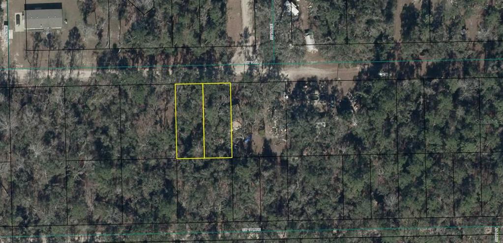 Tbd Southwest 14th Place Bell, FL 32619 - Photo 4 of 4 a view of a forest