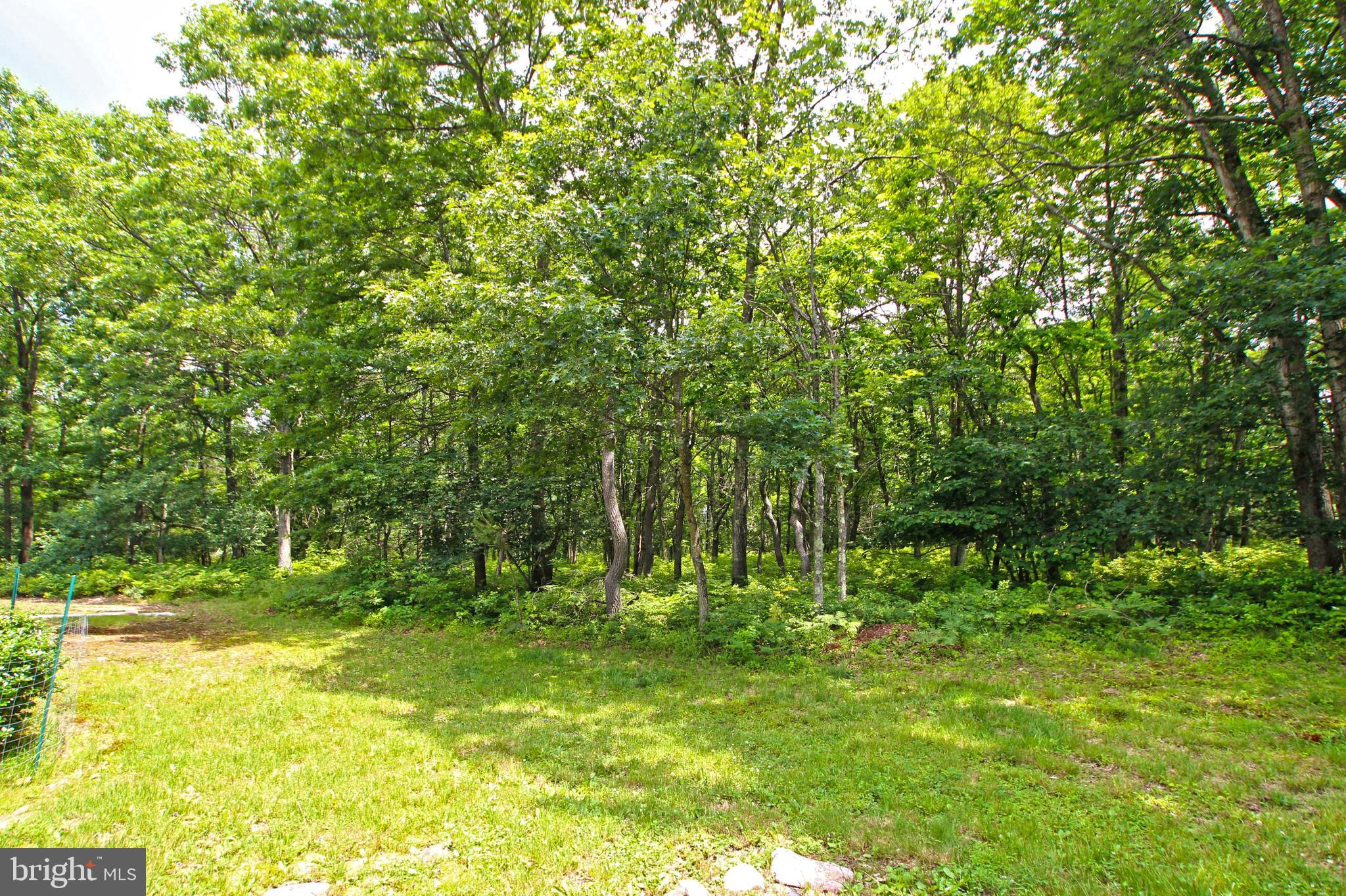 634 Behrens Road Jim Thorpe, PA 18229 - Photo 45 of 47 Gallery Image 45
