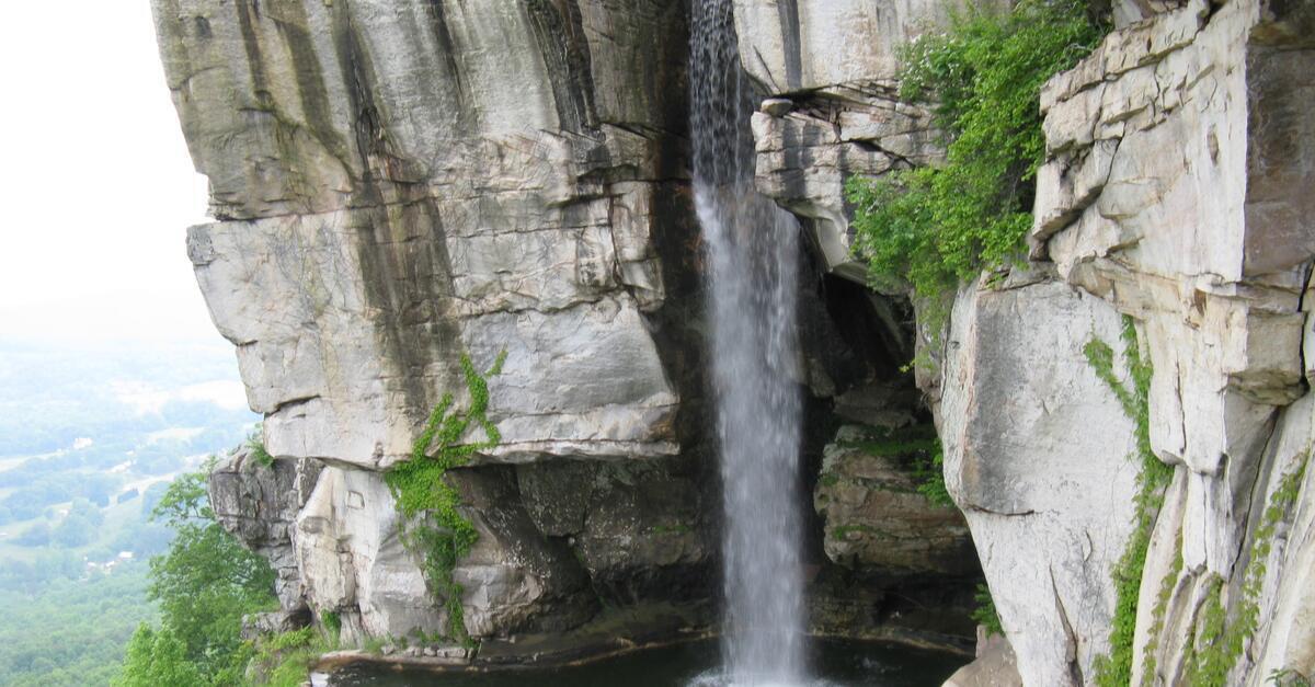 744 Live Oak Road Ringgold, GA 30736 - Photo 47 of 53 11