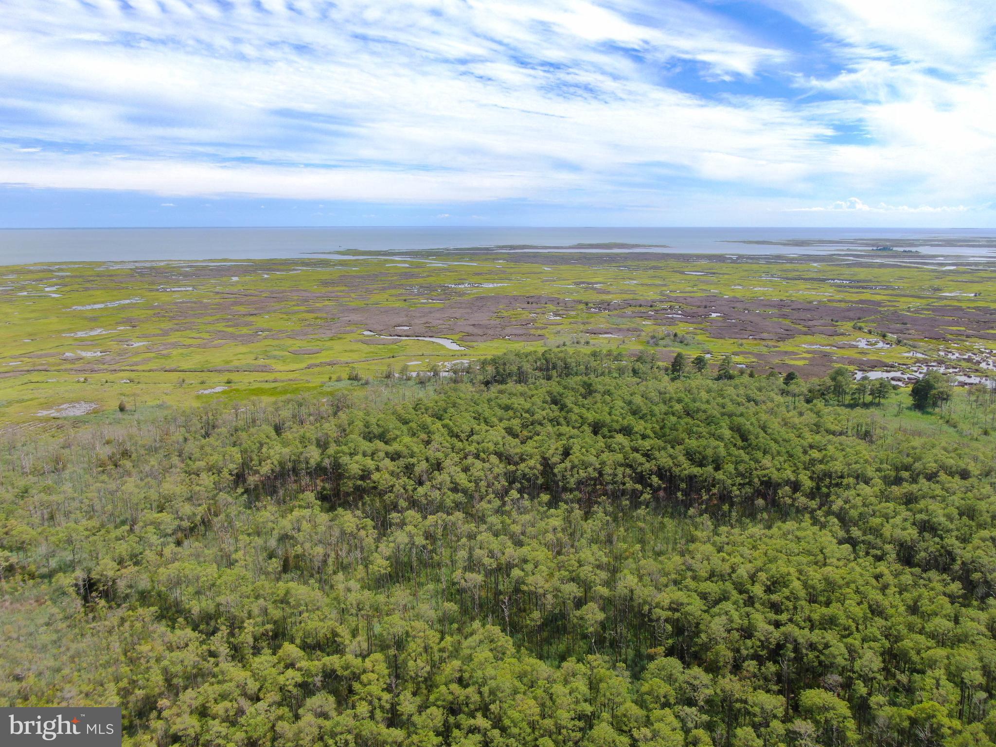 2746 Calvary Road Crisfield, MD 21817 - Photo 11 of 17 Uplands hunting