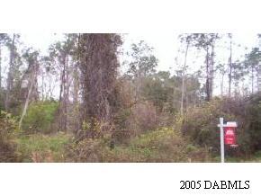 960 Old Bubbly Road Pierson, FL 32180 - Photo 1 of 1 Primary Photo
