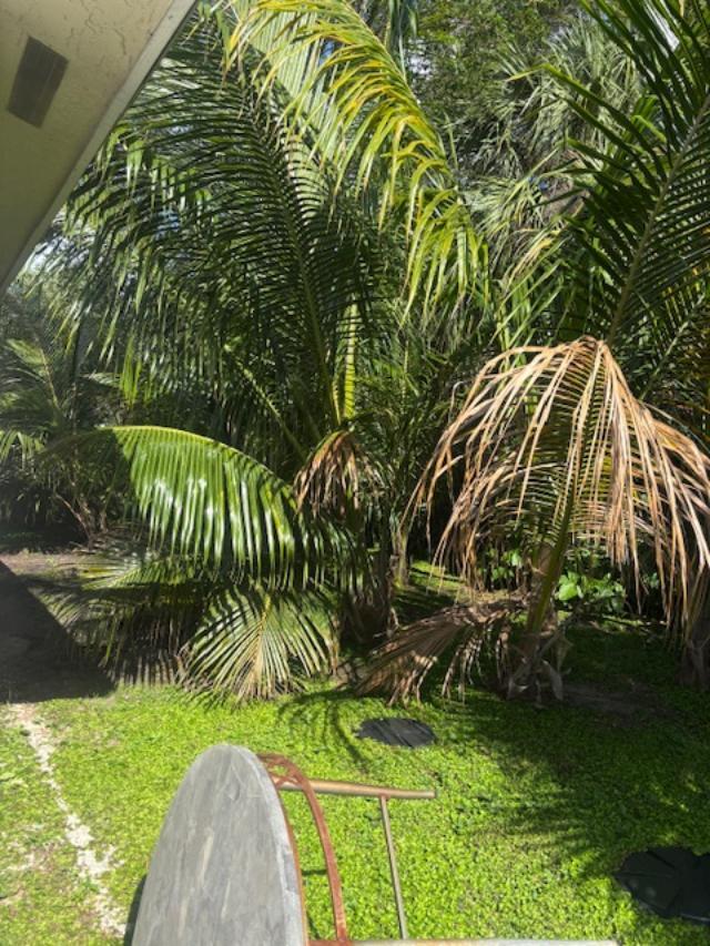 1855 Redbank Road Juno Ridge, FL 33408 - Photo 9 of 9 9