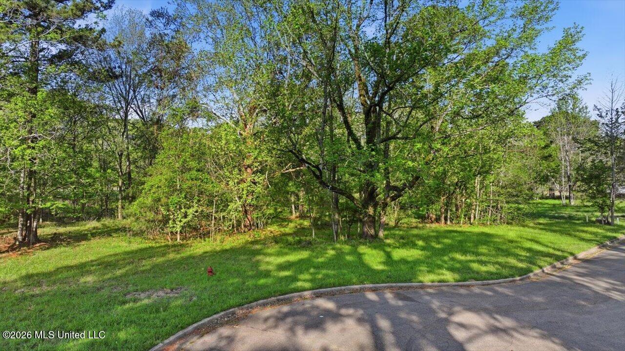 114 Bristol Court Madison, MS 39110 - Photo 11 of 34 01-114 Bristol Ct _ Home Tours MS
